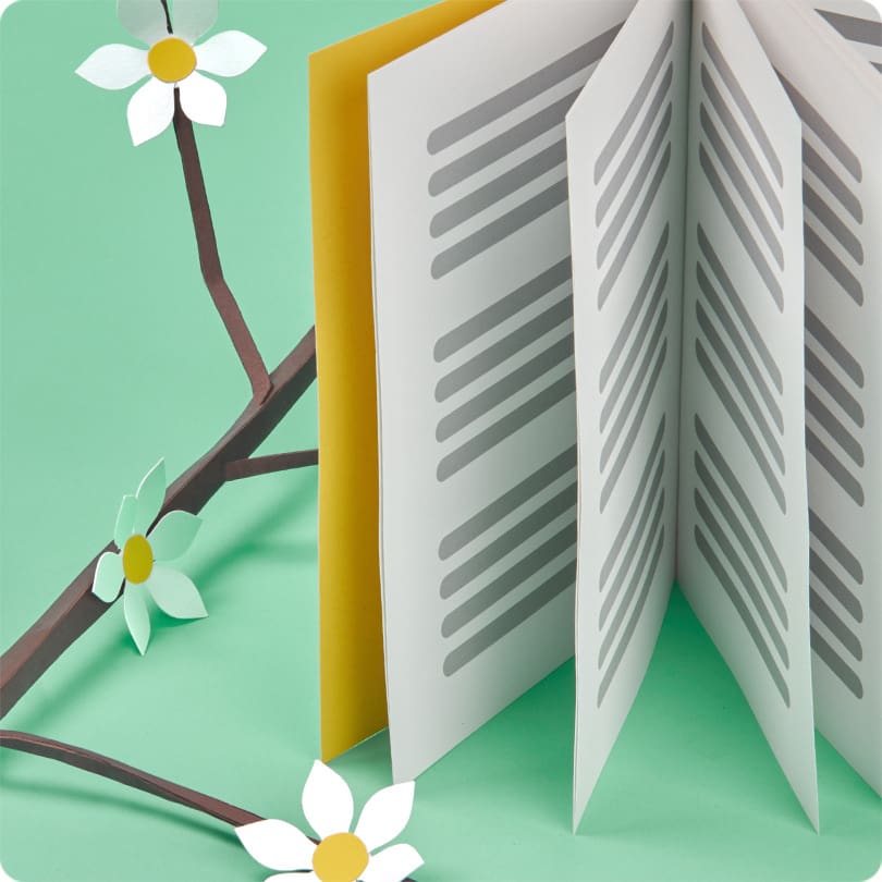 Afbeelding van een brochure op Rebello-papier